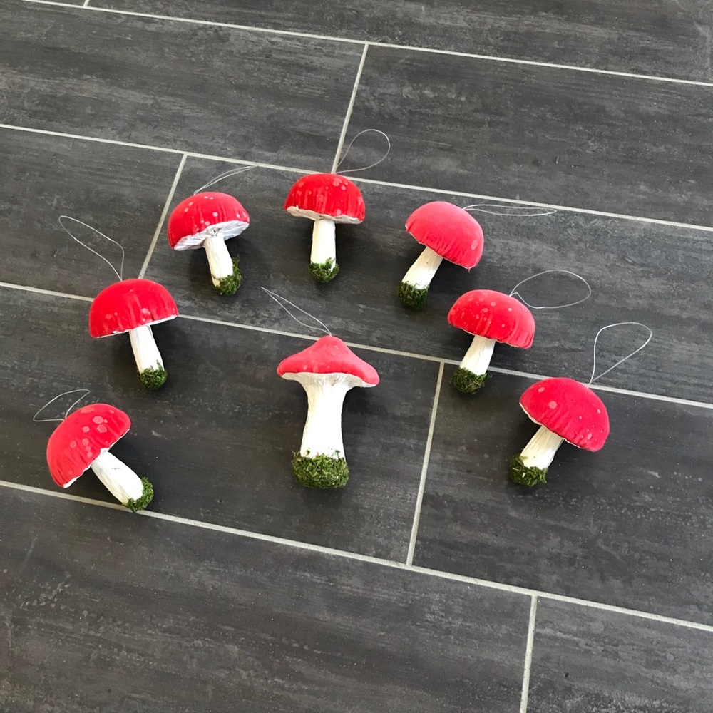 **SOLD**Mushrooms Decor & Ornaments 🍄 - Picture 6 of 7